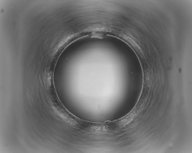 X0000067950160200604171444