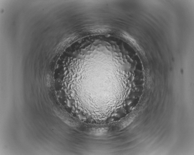 X0000067950161200604171444