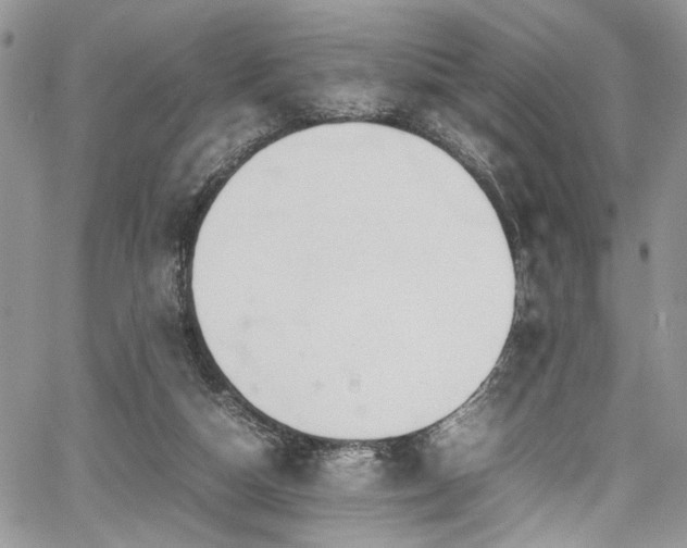 X0000067950162200604171444