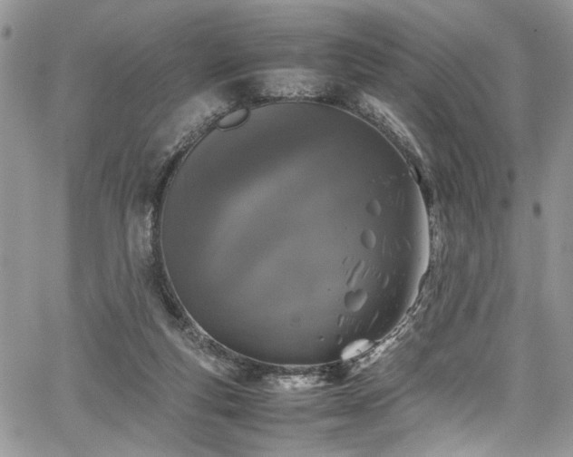 X0000067950163200604171444