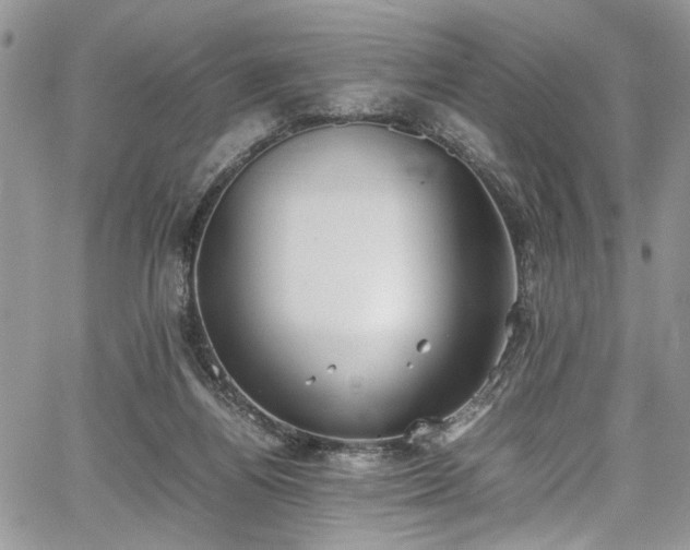 X0000067950164200604171444