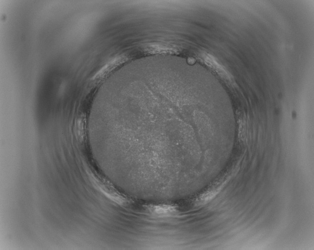 X0000067950165200604171444