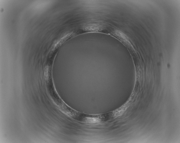 X0000067950167200604171444