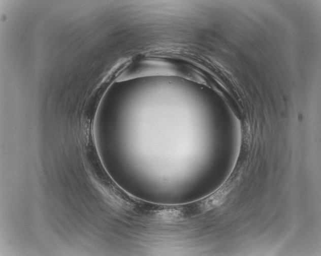 X0000067950168200604171444