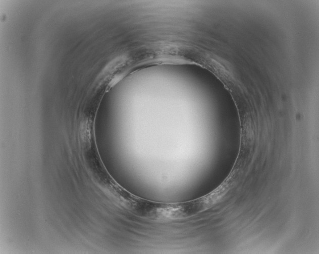 X0000067950172200604171444