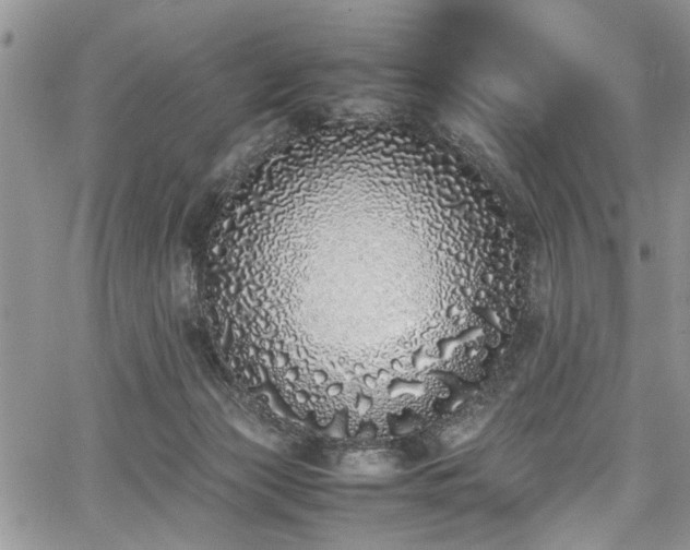 X0000067950173200604171444