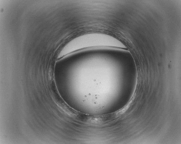 X0000067950174200604171444