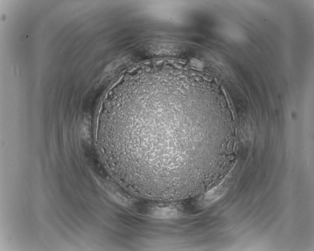 X0000067950175200604171444