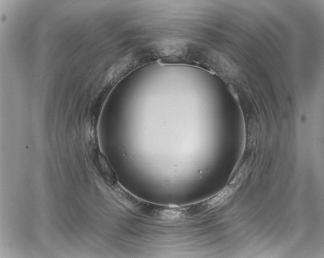 X0000067950176200604171444