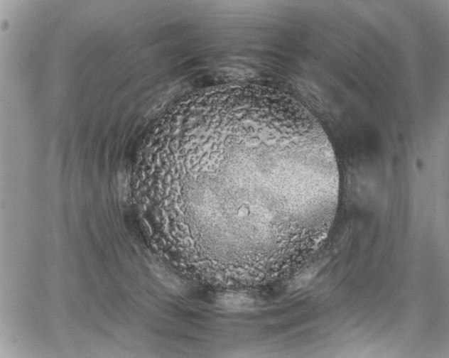 X0000067950177200604171444