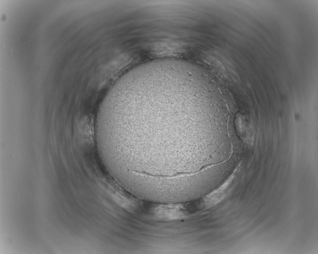 X0000067950179200604171444