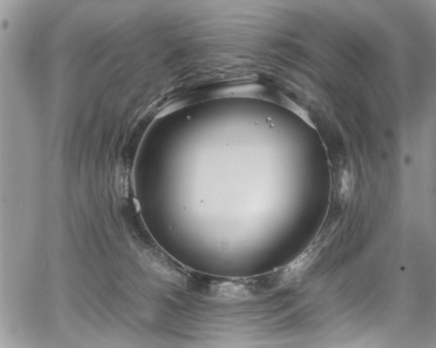 X0000067950180200604171444