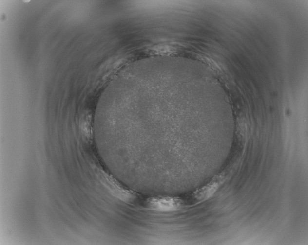 X0000067950181200604171444