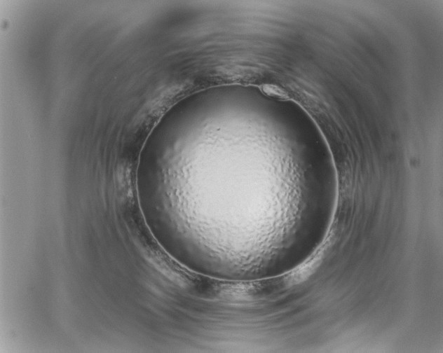 X0000067950182200604171444