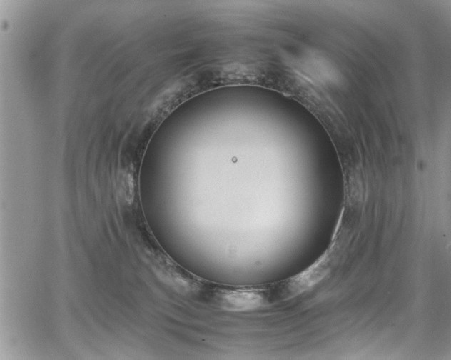 X0000067950183200604171445