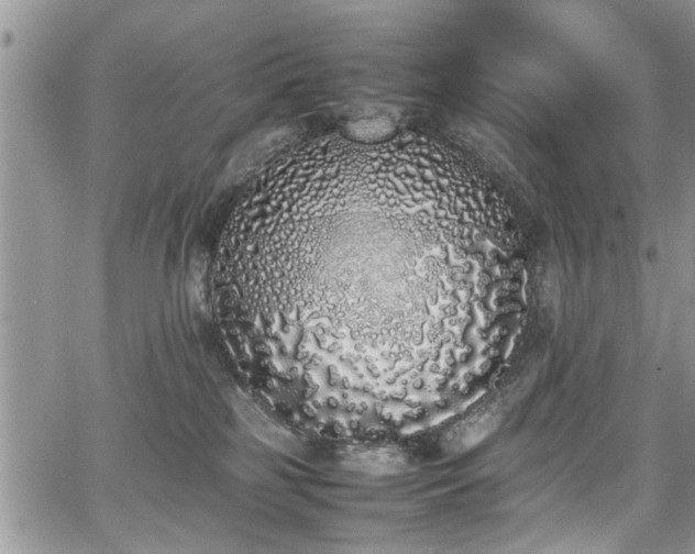 X0000067950185200604171445