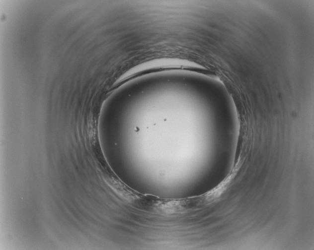 X0000067950186200604171445