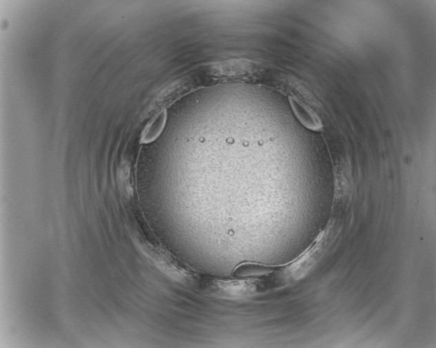 X0000067950187200604171445