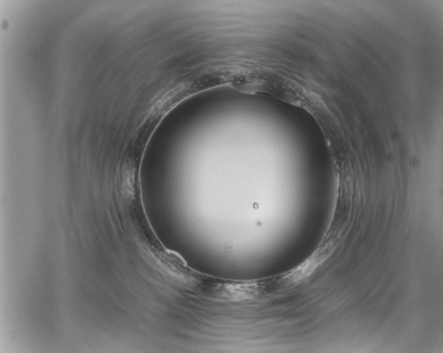 X0000067950188200604171445