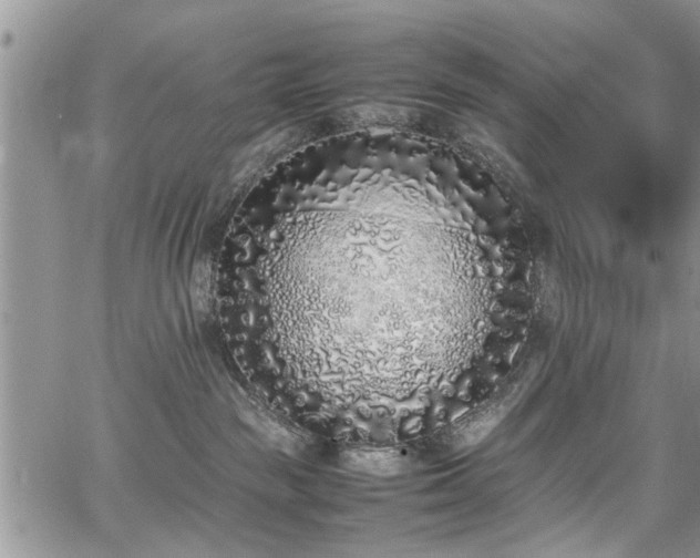 X0000067950189200604171445