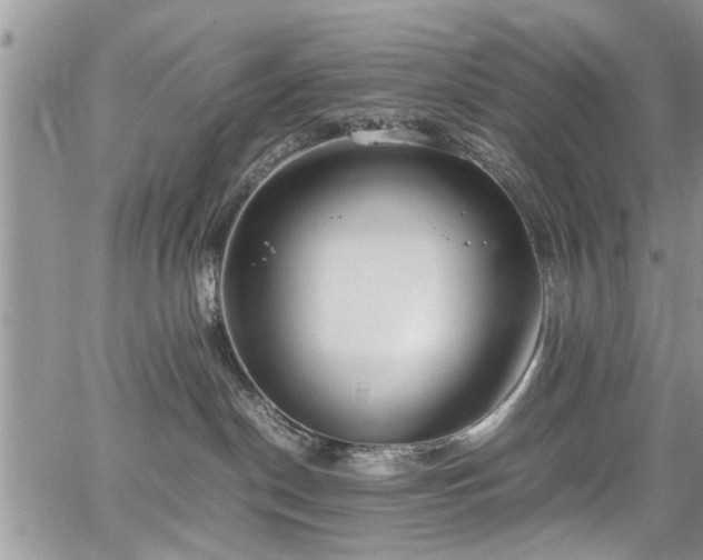 X0000067950190200604171445