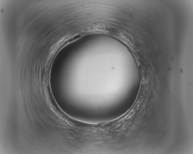 X0000067950193200604171444