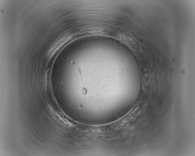 X0000067950194200604171444