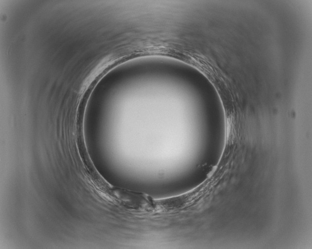 X0000067950195200604171444