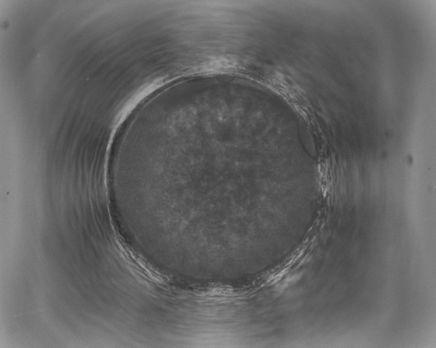 X0000067950196200604171444