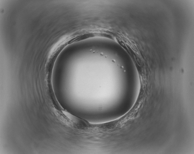 X0000067950197200604171444