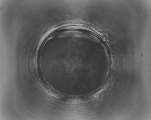 X0000067950200200604171444