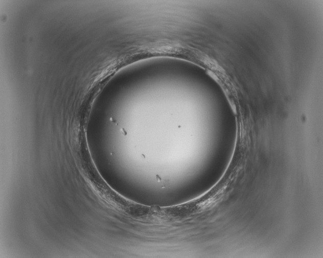 X0000067950201200604171444