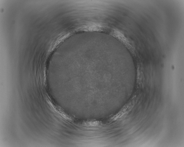 X0000067950202200604171444