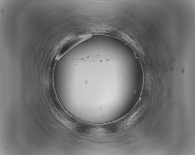 X0000067950203200604171444