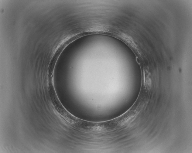 X0000067950204200604171444