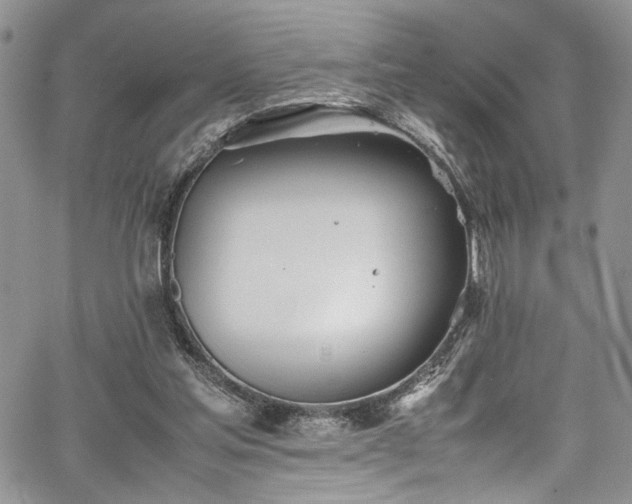 X0000067950205200604171444