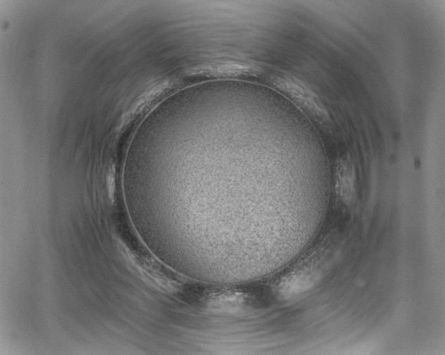 X0000067950206200604171444