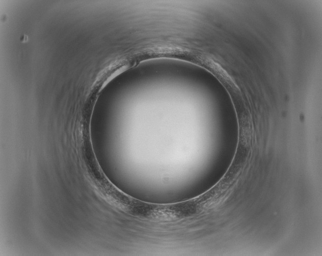 X0000067950207200604171444