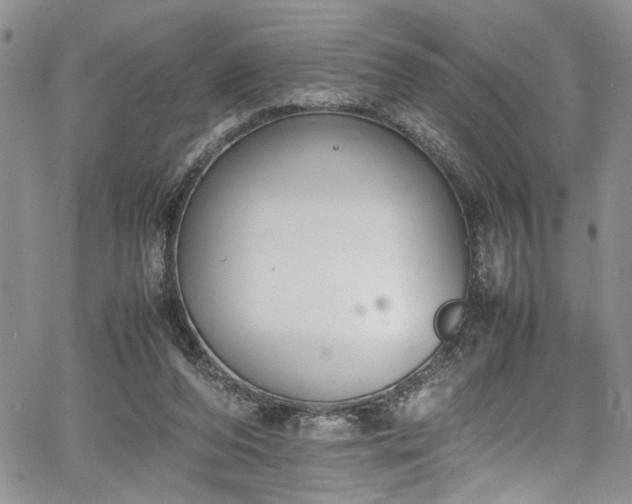 X0000067950208200604171444