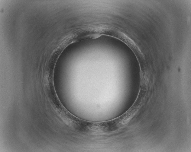 X0000067950209200604171444