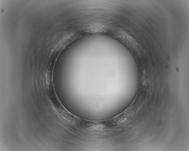 X0000067950210200604171444