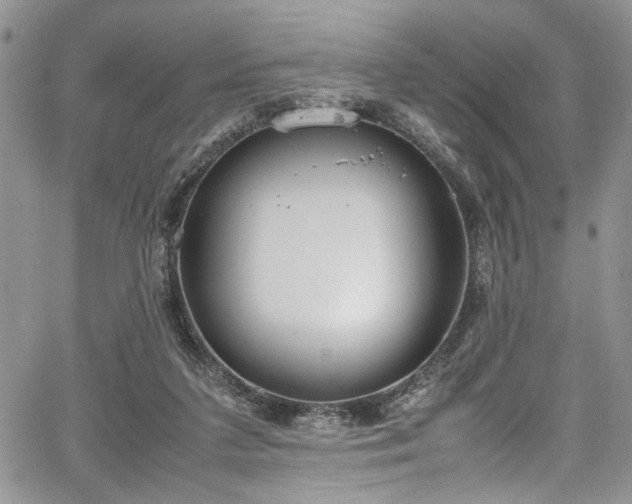 X0000067950211200604171444