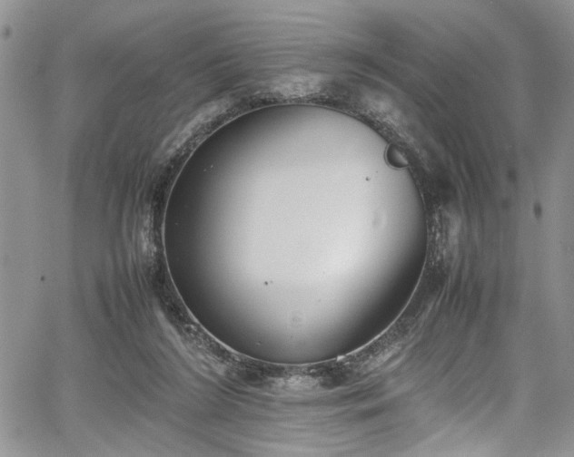 X0000067950212200604171444