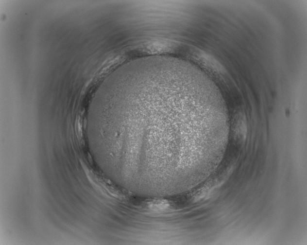 X0000067950214200604171444