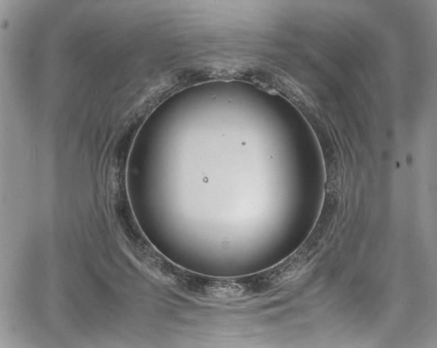 X0000067950215200604171443