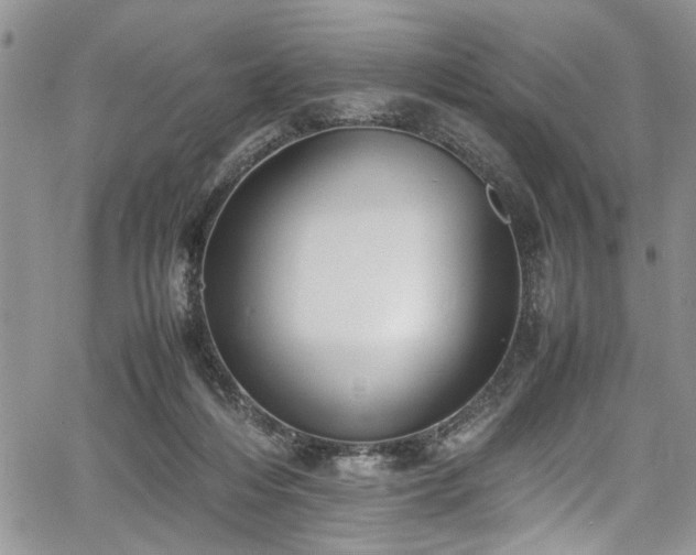 X0000067950216200604171443