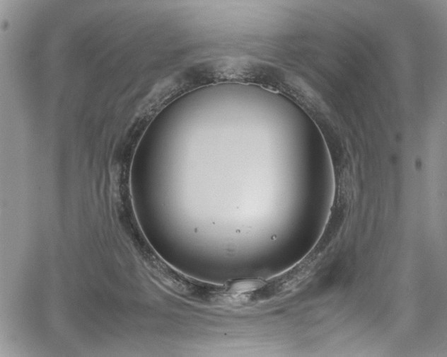 X0000067950217200604171443