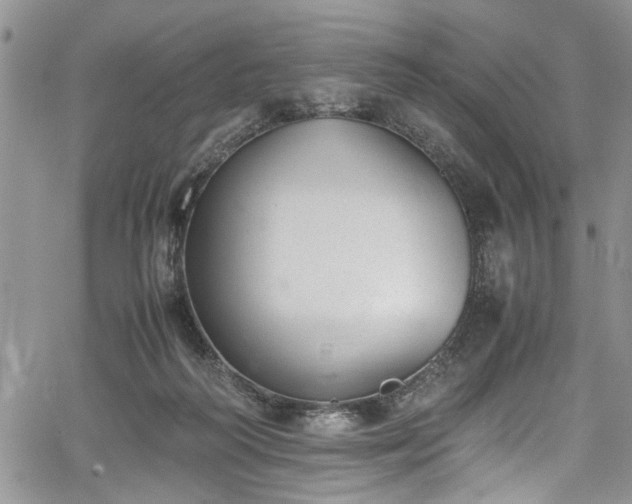 X0000067950218200604171443