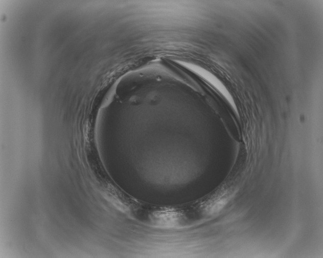 X0000067950219200604171443