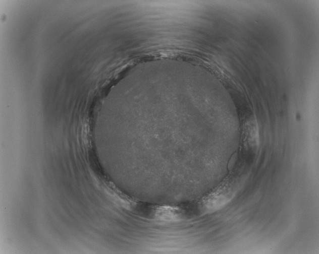 X0000067950222200604171443